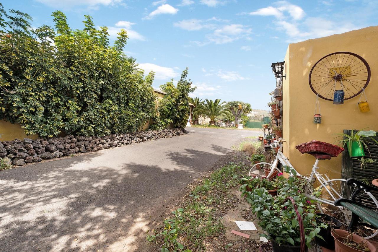 Apartamento P Armonia Rural Granadilla De Abona Εξωτερικό φωτογραφία